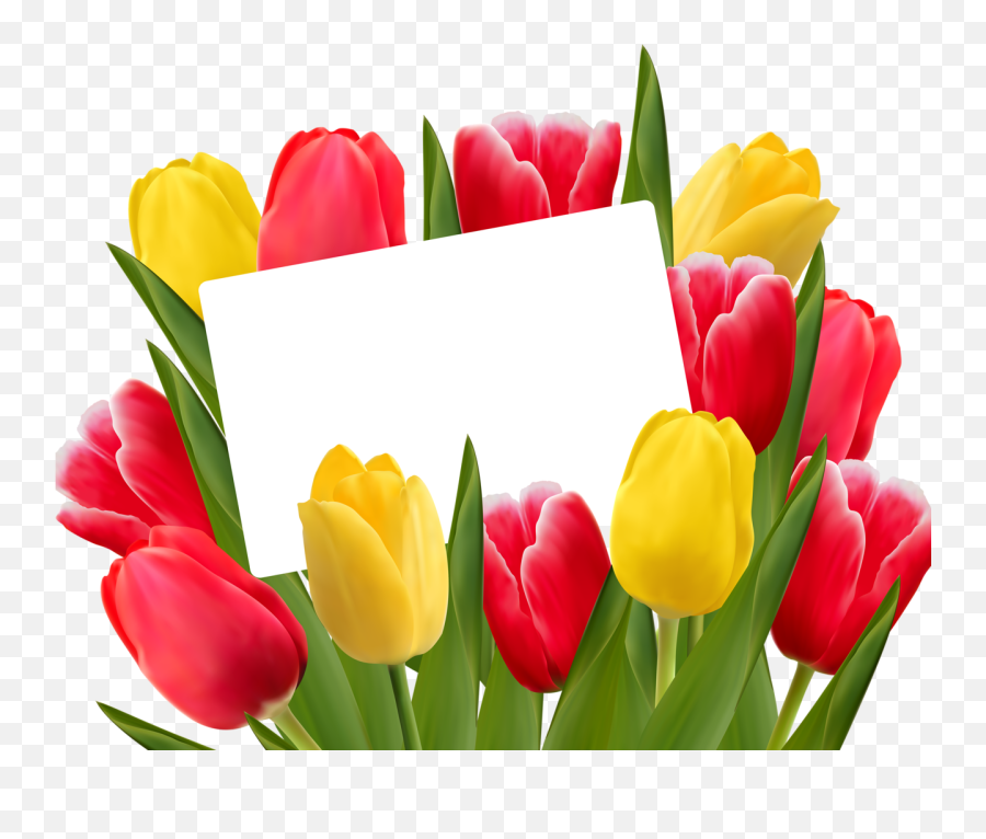 Bouquet Of Yellow Tulips Png Clipart - Tulips Png Emoji,Tulips Clipart