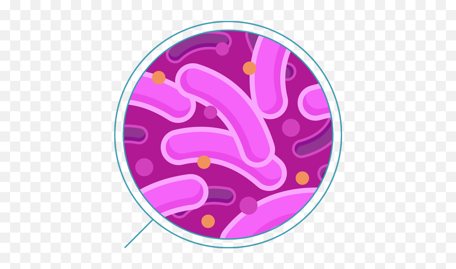 Bacteria Png Transparent Png Image - Bacterias Vector Png Emoji,Bacteria Png