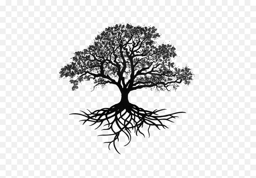 Tree Silhouette Png Transparent Png - Oak Tree With Roots Tattoo Emoji,Tree Silhouette Png