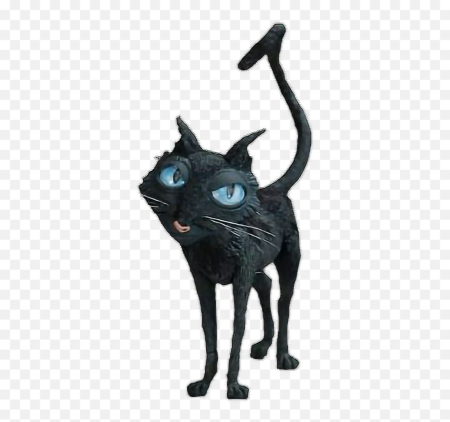 Coraline Cat Sticker By Sara Maximo Emoji,Black Cat Transparent Background