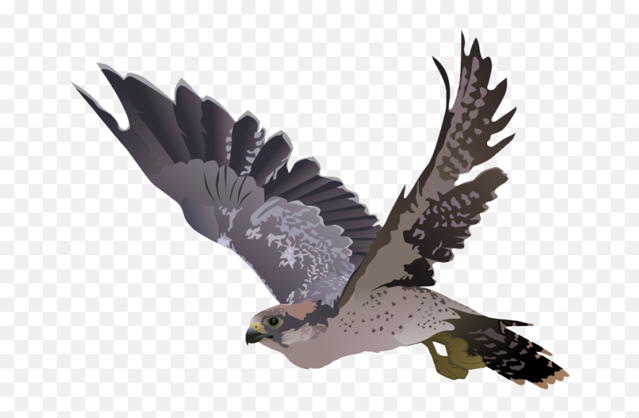 Best Falcon Clip Art 15452 - Clipartioncom Emoji,Hawk Head Clipart