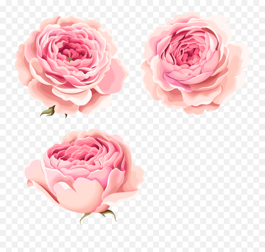 Download Beautiful Pink Flowers Peony - Watercolor Pink Peony Flowers Emoji,Free Clipart Flowers