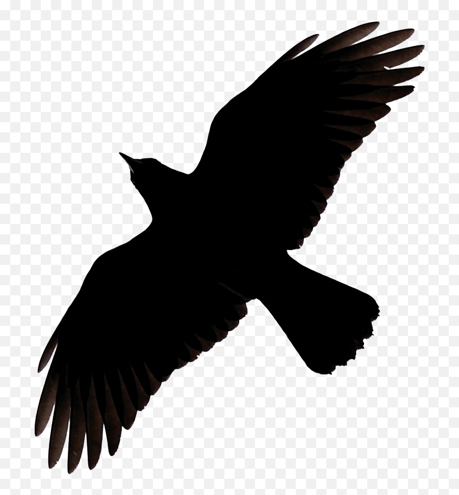 Flying Crow Raven Clip Art - Flying Raven Transparent Emoji,Raven Transparent Background