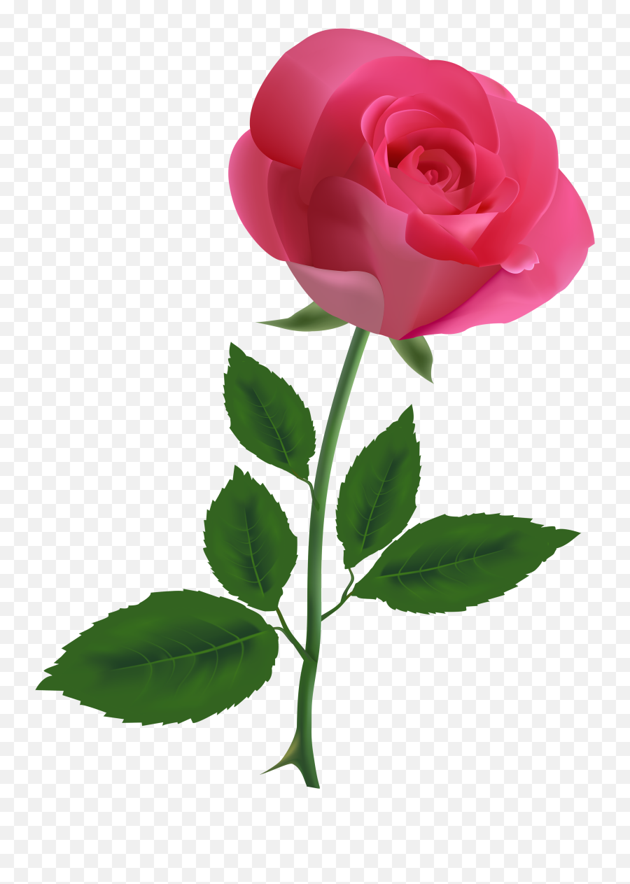 Pink Rose Clipart - Transparent Pink Rose No Background Emoji,Rose Clipart