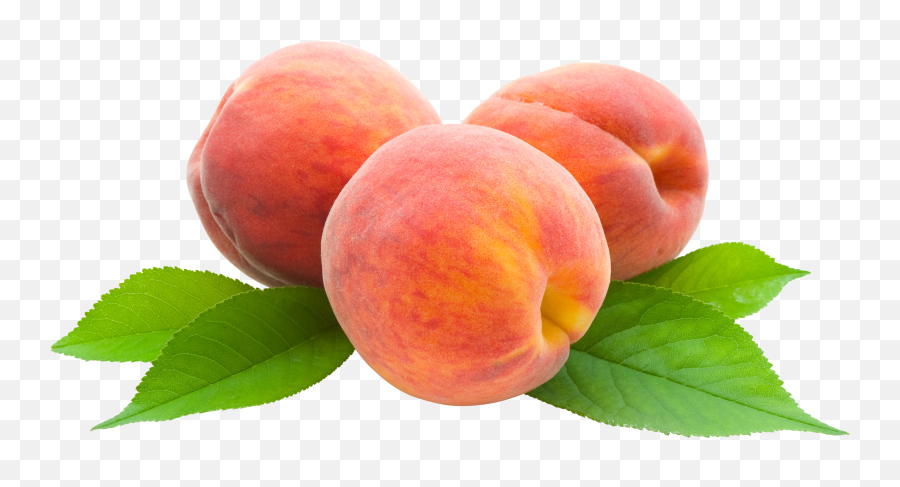 Peach Png Image - Peach Fruit Transparent Hd Emoji,Peach Png