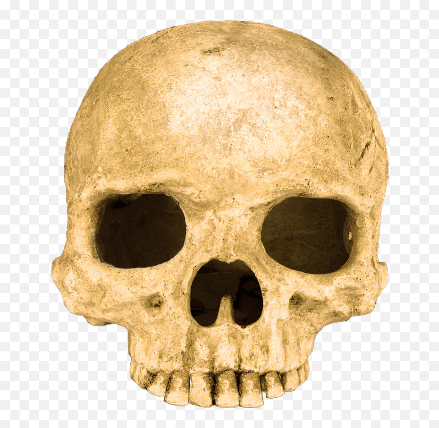 Scary Skull Transparent Background - Joshua Tree National Skull Rock Emoji,Skull Transparent