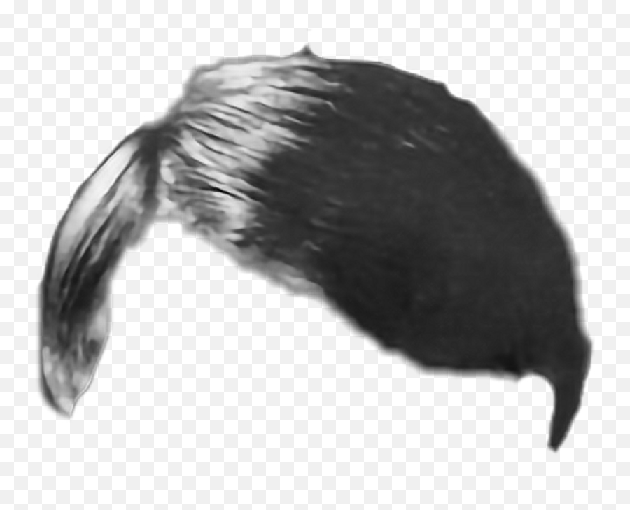 Download Hitler Hair Png - Hitler Hair Transparent Hitler Hair Transparent Background Emoji,Hitler Png Download Hitler Hair Png - Hitler Hair Transparent Hitler Hair Transparent Background Emoji,Hitler Png