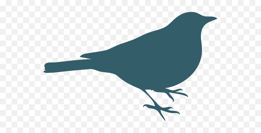 Teal Bird Silhouette Clip Art At Clker Emoji,Birds Silhouette Png