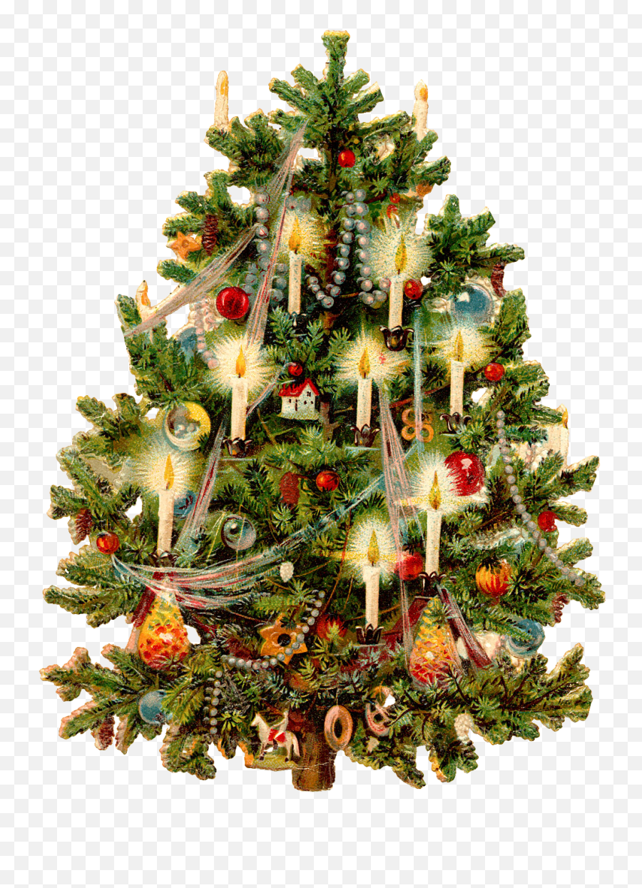 Christmas Tree Png Transparent Images - Transparent Background Vintage Christmas Clipart Emoji,Christmas Tree Png