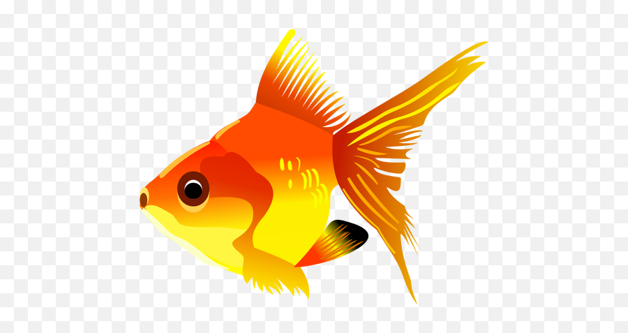 Download Goldfish Clipart Golden Fish - Transparent Fish Clipart Transparent Background Emoji,Fish Transparent Background