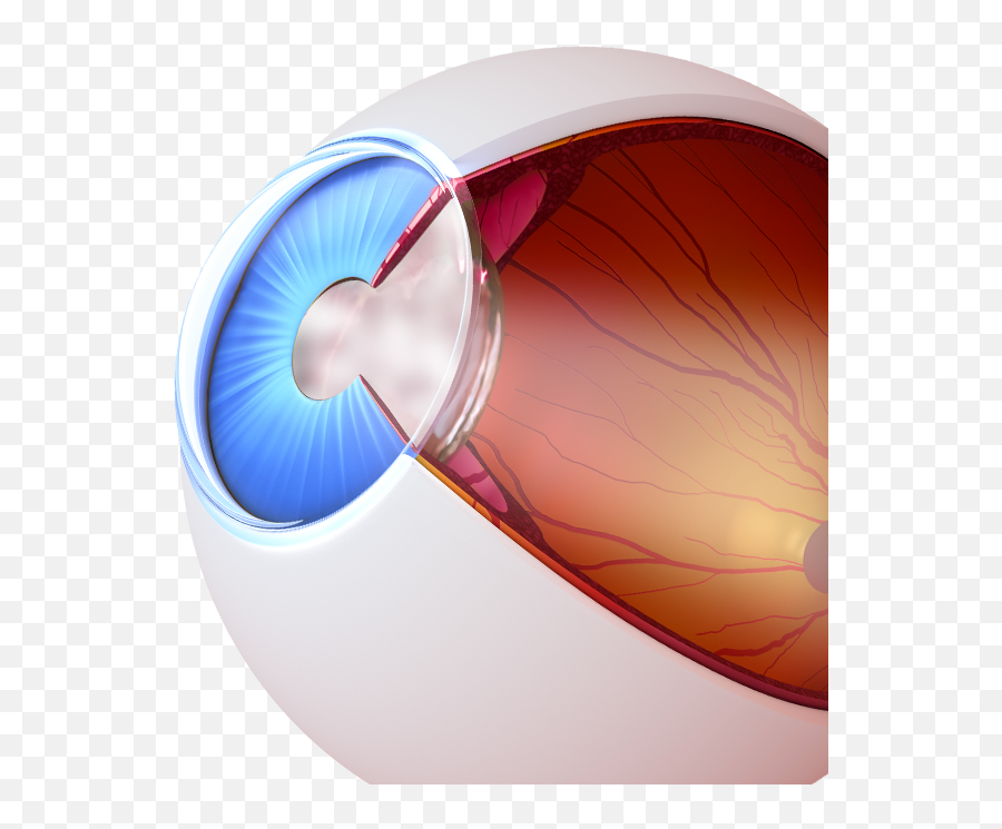 Laser Cataract Surgery U2013 New Jersey U2013 Dr Kenneth S Miller - Jet Engine Emoji,Laser Eyes Transparent