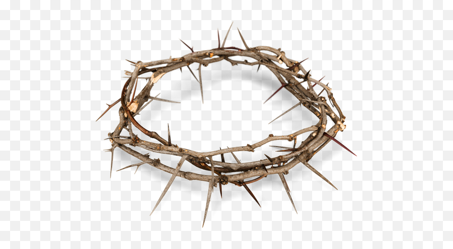 Download Crown Of Thorns Png Png Image - Transparent Background Crown Of Thorns Png Emoji,Crown Of Thorns Png