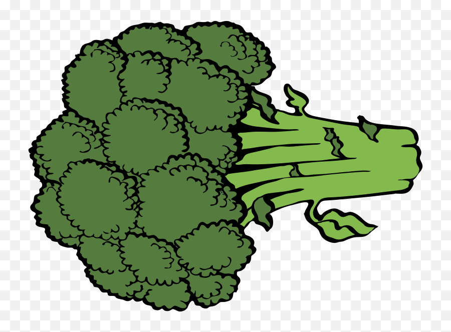 Cartoon Images Of Broccoli Png Image - Broccoli Clipart Png Emoji,Broccoli Png
