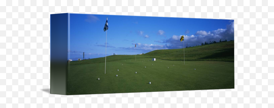 Golf Flags And Golf Balls In Golf Course By Panoramic Images Emoji,Golf Flag Png