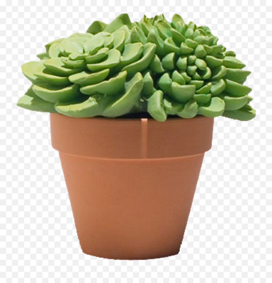Green Plant In The Brown Pot Clipart - Transparent Flower In Pot Png Cartoon Emoji,Pot Clipart