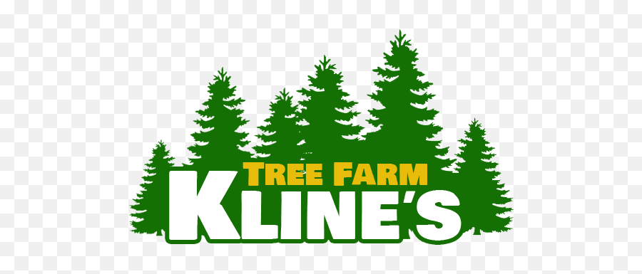 Pine Tree Silhouette Transparent Png - Language Emoji,Pine Tree Logo