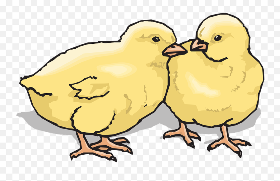 Chicks Clip Art Transparent Png Image - Clip Art Chicks Emoji,Farm Animal Clipart