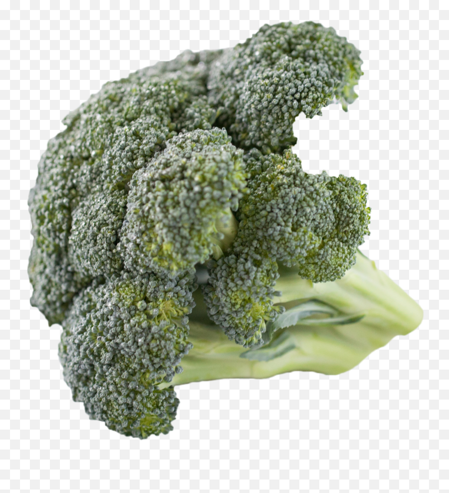 Broccoli Png Image - Makanan Sesuai Untuk Cirit Birit Emoji,Broccoli Png