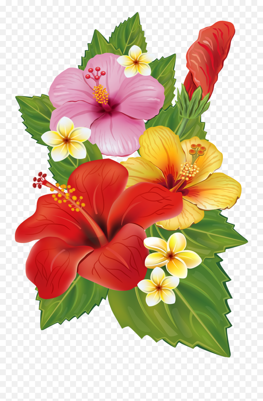 Png Hawaiian Flowers - Transparent Background Tropical Tropical Flowers Transparent Background Emoji,Flowers Clipart