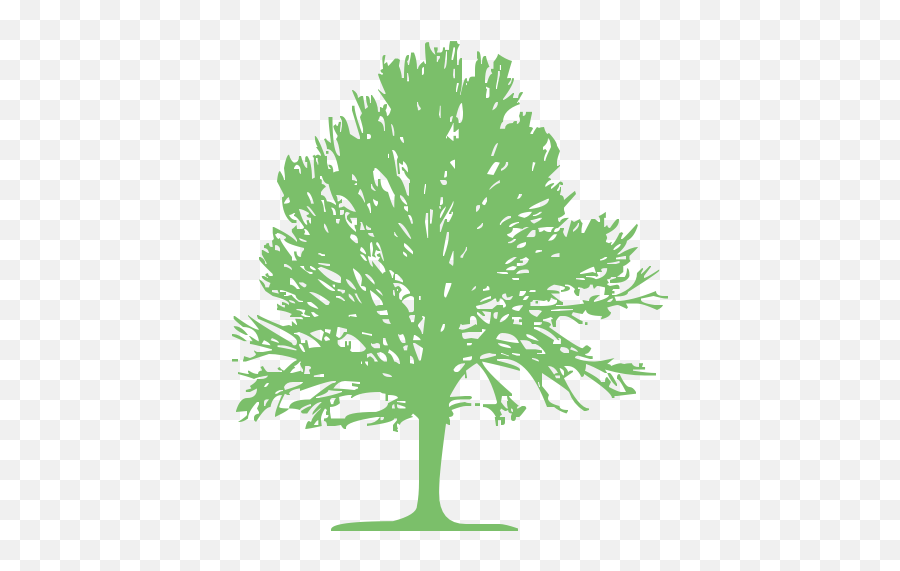 Swamp Spanish Oak Tree Computer Icons Lumberjack Clip Art - Tree Icon Gif Emoji,Aesthetic Clipart