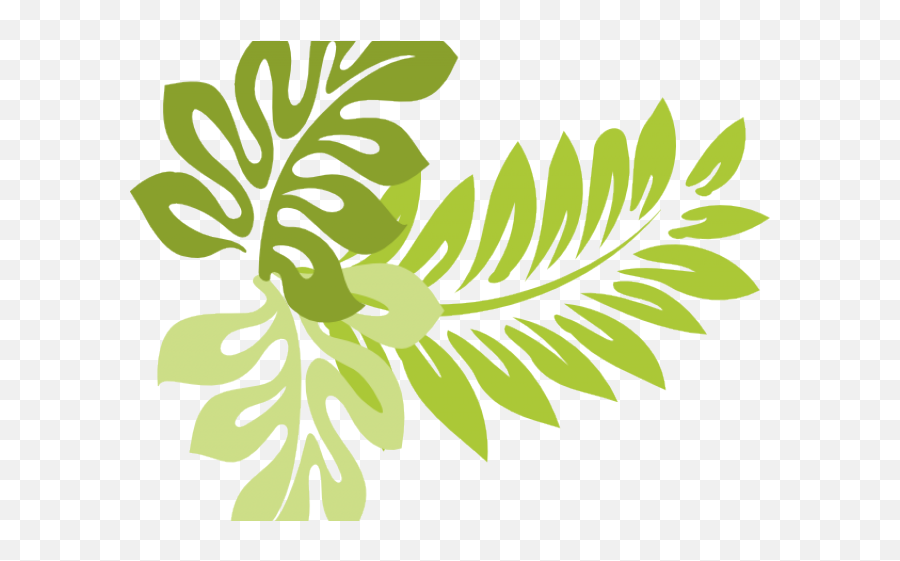 Download Tropics Clipart Jungle Leaves - Hibiscus Leaves Clipart Emoji,Jungle Leaves Png