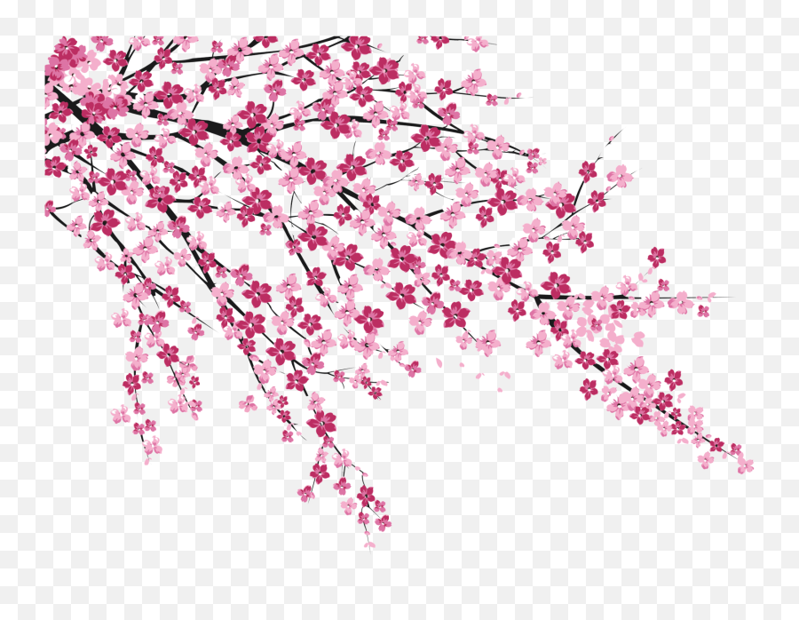 Free Transparent Cherry Blossom Png - Cherry Blossoms Png Emoji,Cherry Blossom Png