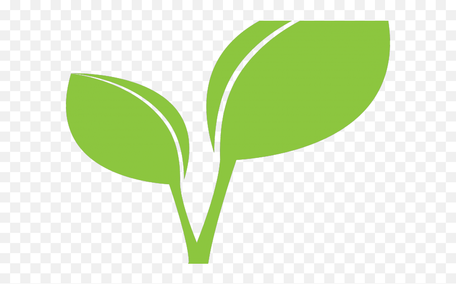 Green Leaves Clipart Coconut Leave - Plant Leaf Clipart Hd Clipart Green Leaf Png Emoji,Leave Png