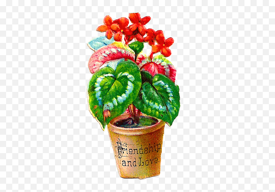 Free Images Of Flower Pots Download Free Clip Art Free - Laceleaf Emoji,Flower Pot Clipart
