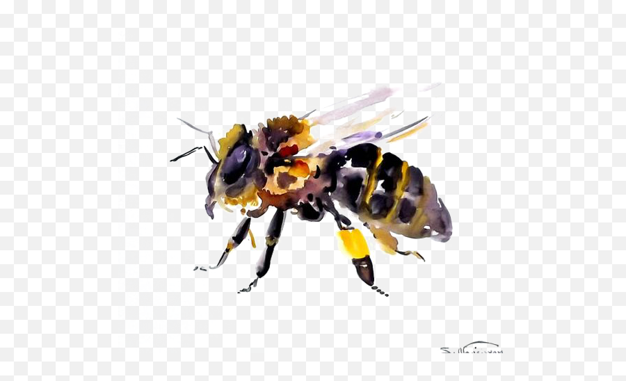 Bee Transparent Background Png - Honey Bee Beauty Logo Emoji,Bee Transparent