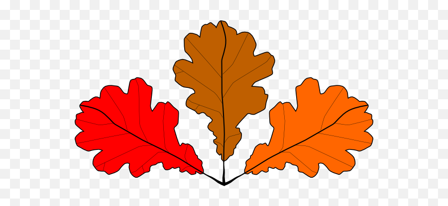 3 Oak Leaves Clip Art At Clker - 6 Leaves Clipart Emoji,Oak Leaf Clipart