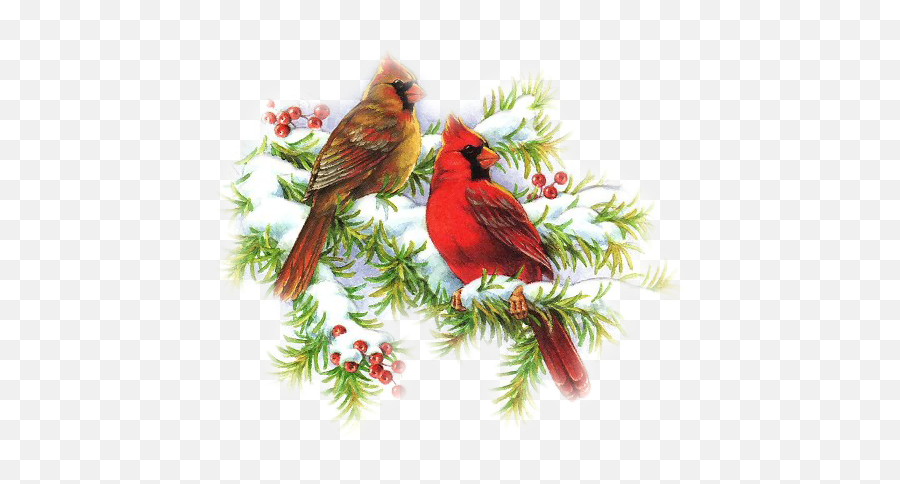 Christmas Paintings Cardinal Birds - Christmas Cardinal Clip Art Emoji,Cardinal Clipart