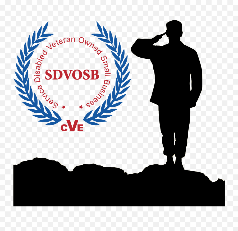 Dynamic Solutions Technology - Transparent Service Disabled Veteran Owned Small Business Logo Emoji,Vosb Logo