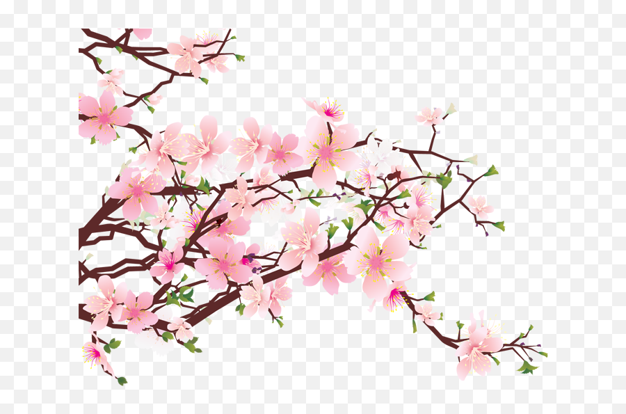 Download Cherry Blossom Png - Cherry Blossom Clipart Emoji,Cherry Blossom Png