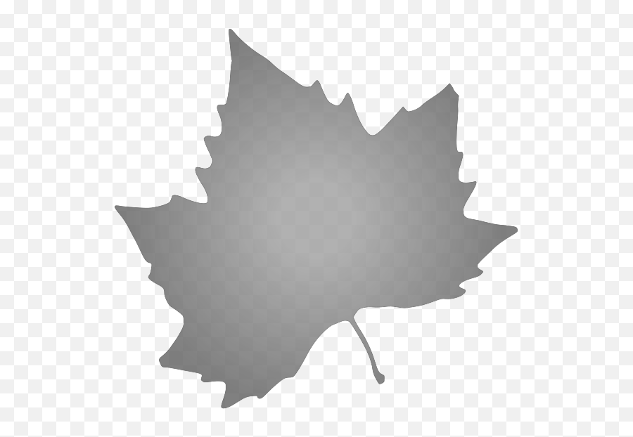 Grey Maple Leaf Svg Vector Grey Maple Leaf Clip Art - Svg Clip Art Emoji,Maple Leaf Clipart Black And White
