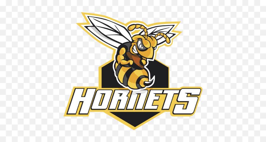 Basketball Logo And Nba - Hornet Logo Transparent Emoji,Charlotte Hornets Logo