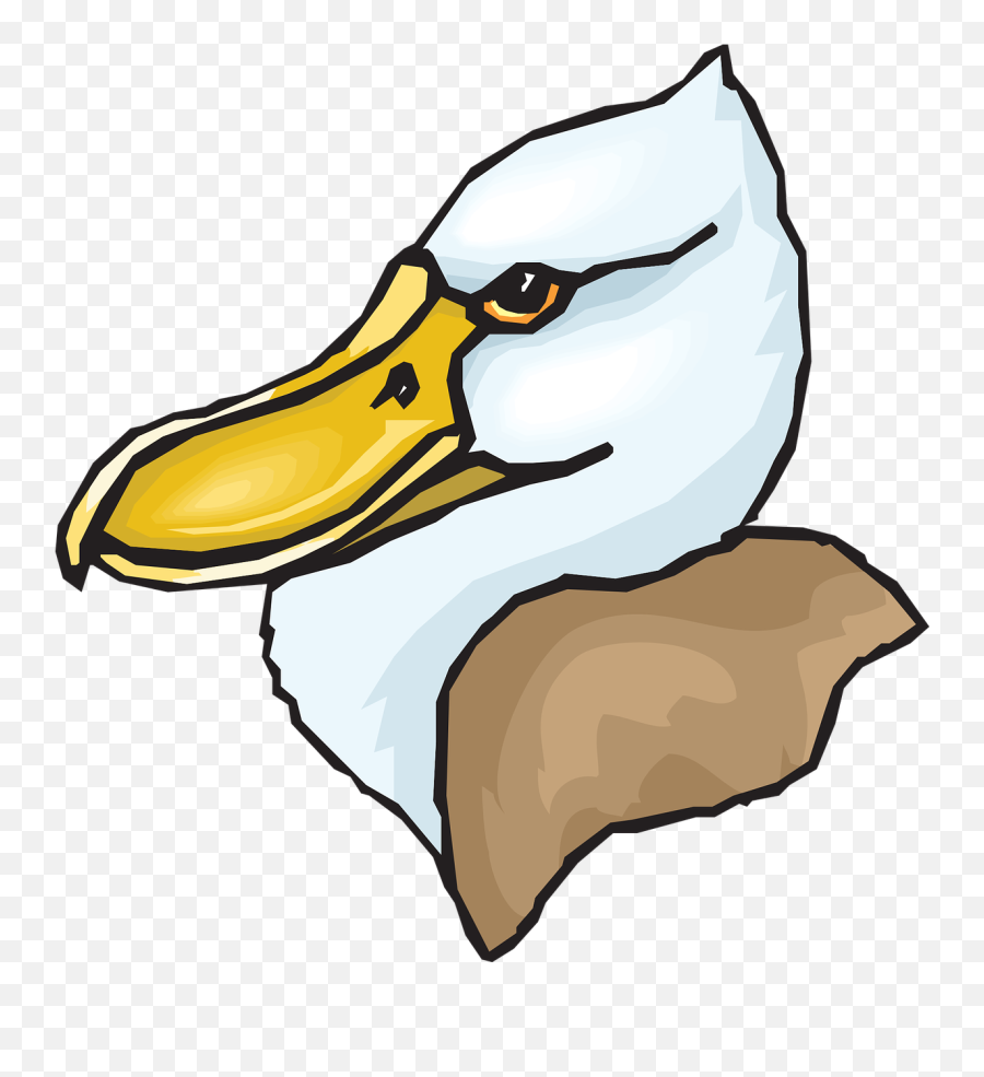Head Big Bird - Cabeza De Pato Png Emoji,Big Bird Png