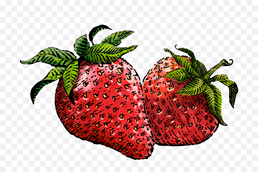 Drawn Strawberry Transparent Background - Strawberry Yogurt Emoji,Strawberry Transparent Background