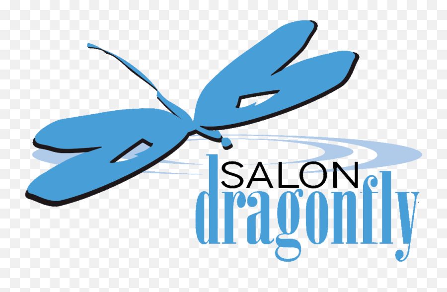 Salon Dragonfly Emoji,Dragonfly Transparent Background