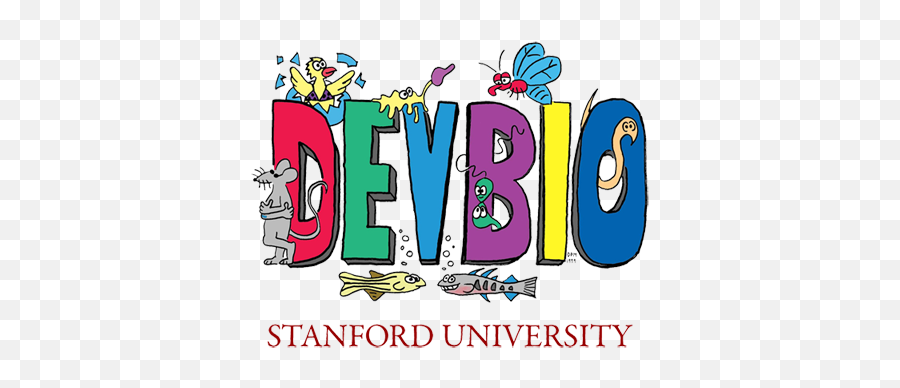 Developmental Biology At Stanford University - Language Emoji,Db Logo