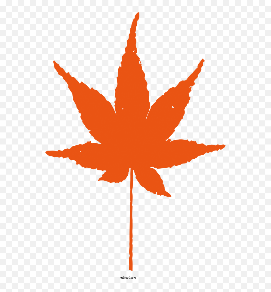 Nature Cinema 4d Leaf Pot Leaf Sticker For Autumn - Autumn Sango Kaku Leaf Emoji,Pot Leaf Png