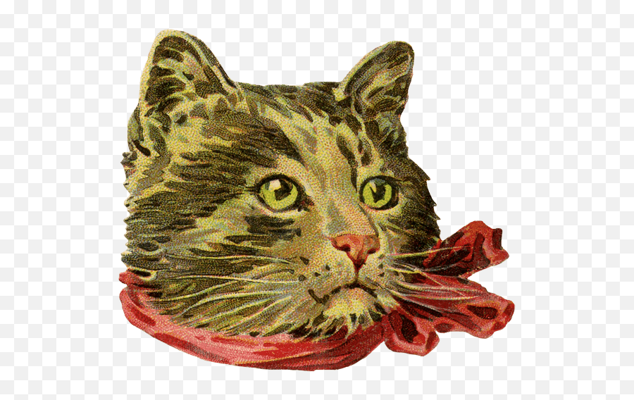 Vintage Cat Transparent Png - Stickpng Vintage Cat Drawings Emoji,Cats Png