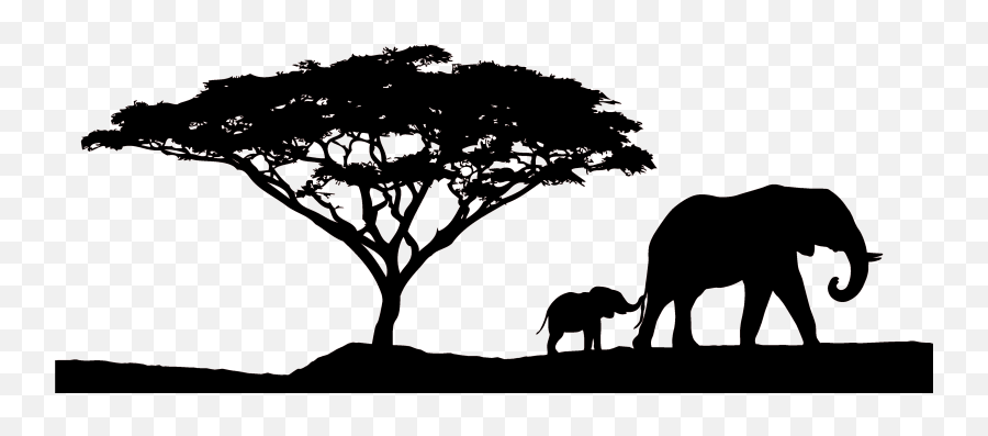 3d Ago - African Tree Silhouette Png Full Size Png African Safari Silhouette Png Emoji,Tree Silhouette Png