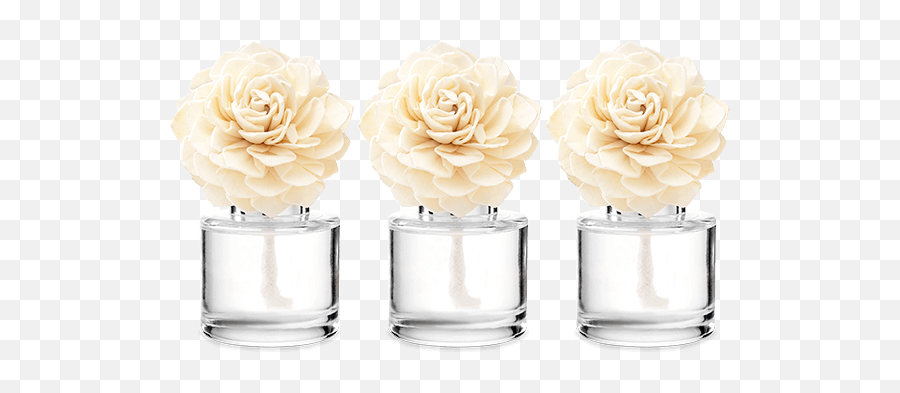 3 Scentsy Fragrance Flowers Emoji,Mandy Rose Png