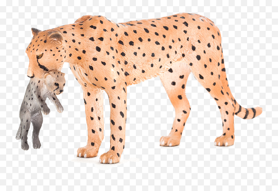 Download Hd Animal Planet Cheetah Female With Cub Emoji,Animal Planet Logo Png