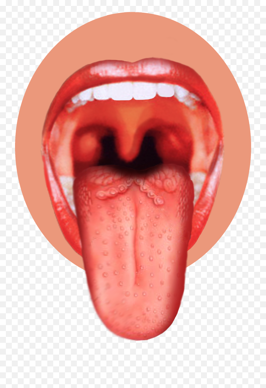 Tongue Icon Clipart - Throat Image Png Emoji,Tongue Clipart