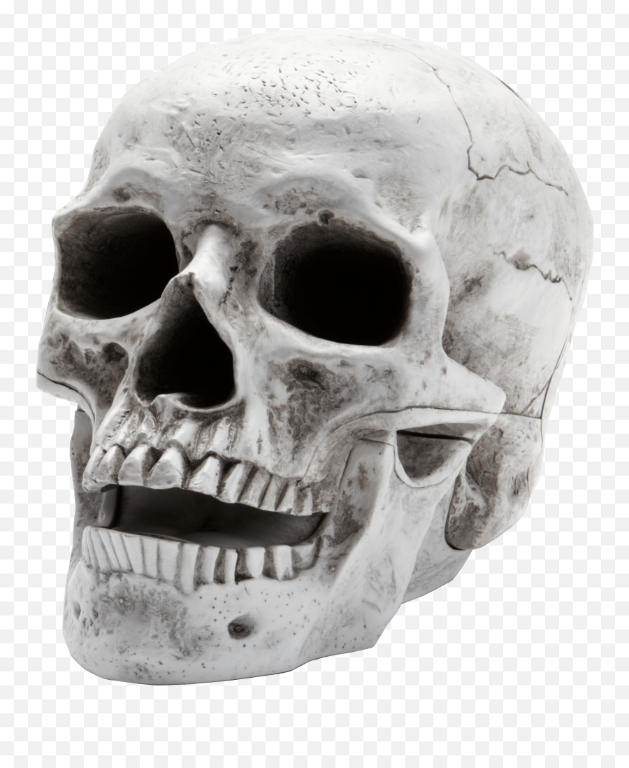 Skull Skeleton - Skull Transparent Png Emoji,Skull Transparent Background