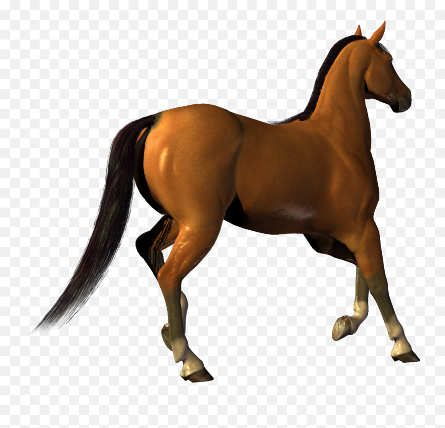 Horse Png Alpha Channel Clipart Images - Horse No Background Gif Emoji,Horse Png