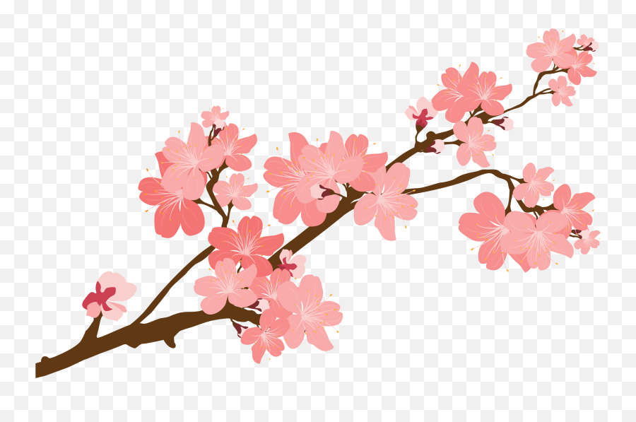 Cherry Blossom Tree Branch Png - Transparent Background Cherry Blossoms Clipart Emoji,Cherry Blossom Png