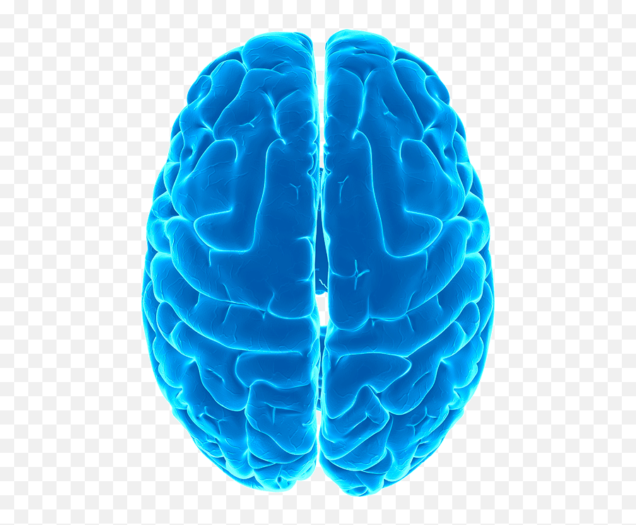 Brain Png - Brain Emoji,Brain Transparent Background