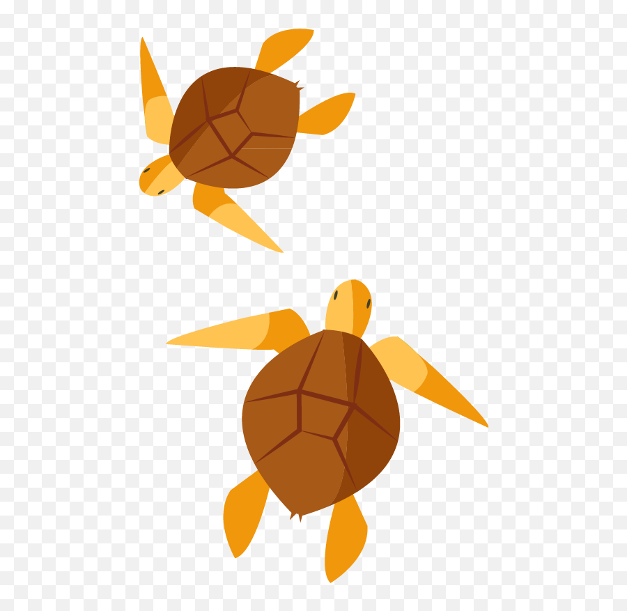 Turtle Clip Art - Turtles Png Download Full Size Clipart Emoji,Turtles Clipart